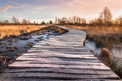 Knuppelbrug over een moerasgebied in Nationaal Park De Groote Peel