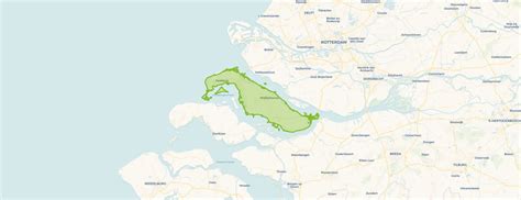 Fjordenpaarden grazen in een groen polderlandschap op Goeree-Overflakkee
