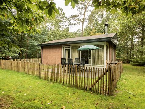 Illustratie van een vakantiehuis met tuin en een hond