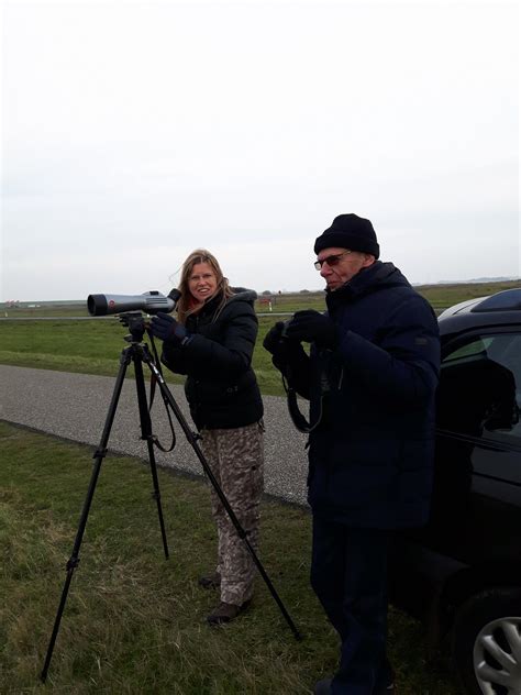 Vogelaars observeren vogels in het uitgestrekte gebied van de Oostervaardersplassen