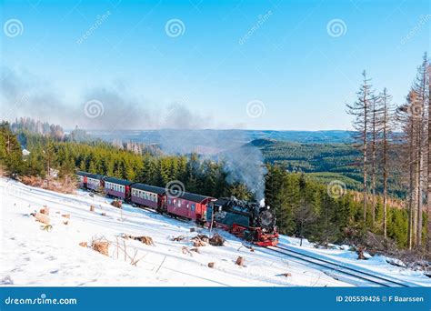 Winterlandschap in de Harz met langlaufers