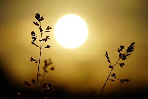 Informatieve illustratie over de kracht van de zon op Curaçao en aanbevelingen voor zonnebrandcrème