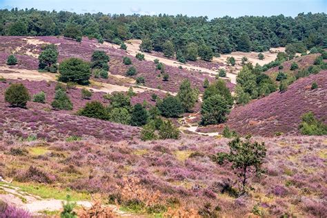 Uitzicht vanaf de Posbank over de Veluwezoom