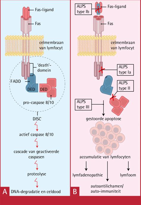 schematische weergave van het voorgestelde pretparkterrein in Vlaardingen