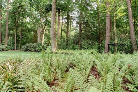 Luxe safaritent in een bosrijke omgeving