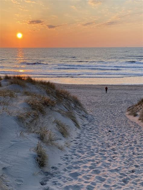 Overzichtskaart van Texel met markering van De Koog, het strand en het bos.