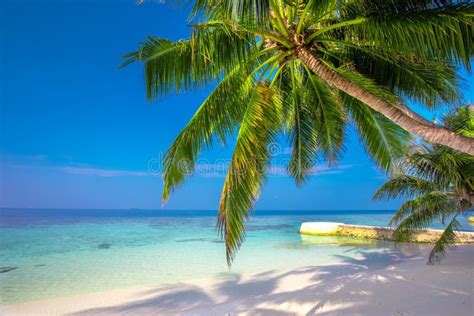Idyllisch strand op Gili Trawangan met palmbomen en turquoise water