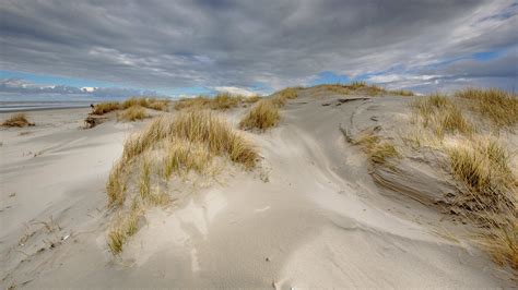 Landschap van Texel met duinen en strand