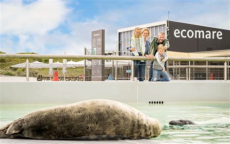 Zeehonden bij Ecomare