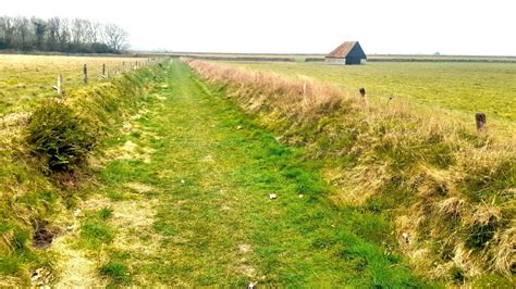 Landschap met tuinwallen op De Hoge Berg