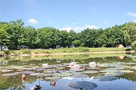 Overzicht van de zwembaden en ligweides van Camping Creuse Nature