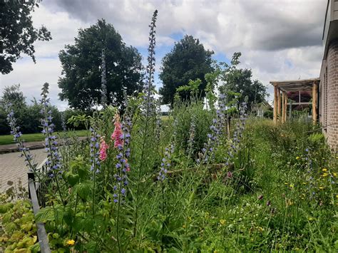 een gezellige, witgekalkte vakantiewoning met een bloemrijke tuin en een glimp van de nabijgelegen zee
