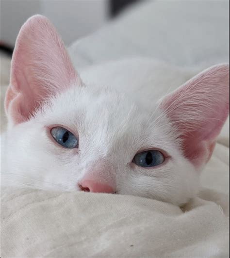 Illustratie van een kind dat een speelkaart vasthoudt en de wereld om zich heen ontdekt.