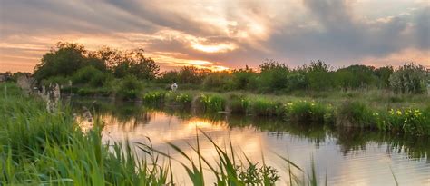 Landschap van de Nieuwkoopse Plassen met water, riet en grasland
