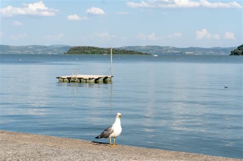 plattegrond met treinroutes naar het Trasimeense Meer