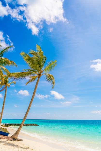 Foto van een prachtig wit zandstrand in Miami Beach met palmbomen en helderblauw water.
