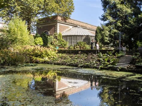 De serene Kruidtuin van Leuven, een oase van groen.