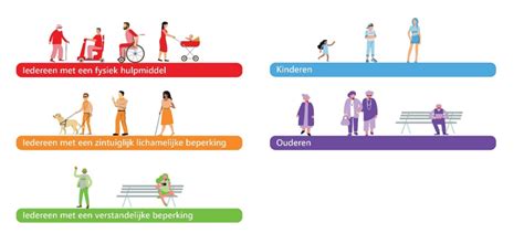 Infographic die de verschillende categorieën van toegankelijkheid bij Landal toelicht.