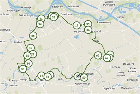 Fietsroute door een bloeiende fruitboomgaard in de Betuwe.