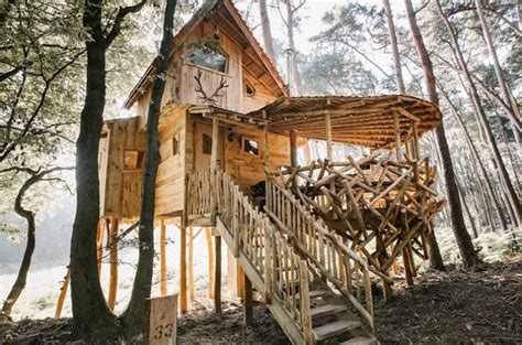 Een sfeervolle boomhut hoog tussen de takken van een boom.