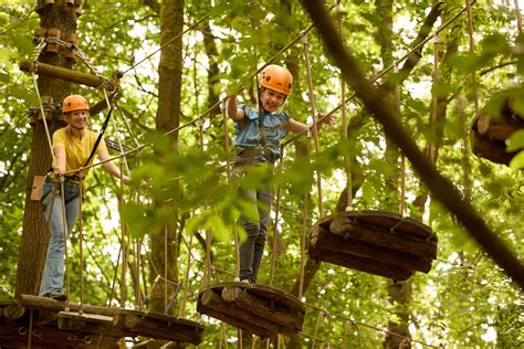 Illustratie van een avontuurlijk klimparcours in de bomen