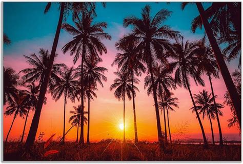 Zonsondergang op een Cubaanse strand met silhouetten van palmbomen