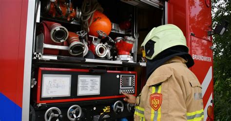 Illustratie van een onbewoonbaar vakantieappartement met ongedierte.