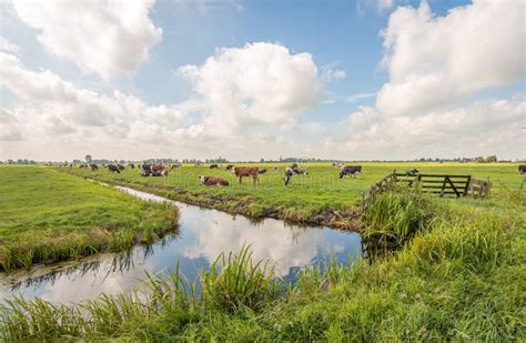 Landschap van Eemnes met weidse polders en traditionele boerderijen