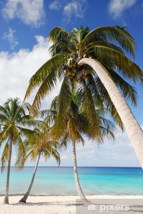 Tropisch strand in Cuba