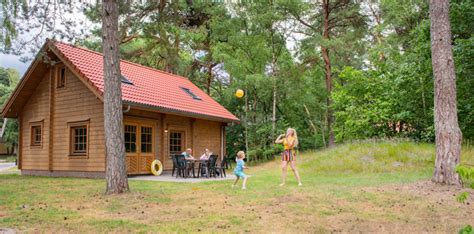 Landschap met een RCN vakantiepark in een bosrijke omgeving