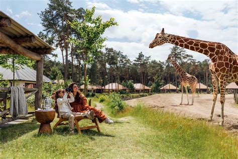 Luxe lodge met uitzicht op de savanne in het Safari Resort Beekse Bergen