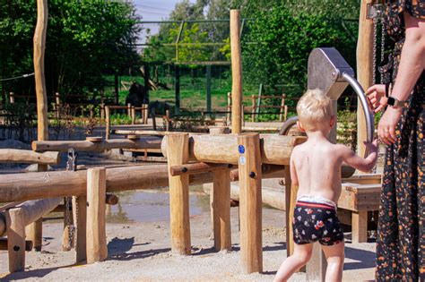 Kinderen spelen in een waterspeeltuin met glijbanen en fonteinen