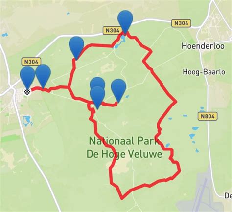 Fietsroute door een bosrijk gebied op de Veluwe
