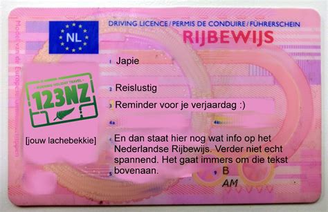 Voorbeeld van een internationaal rijbewijs