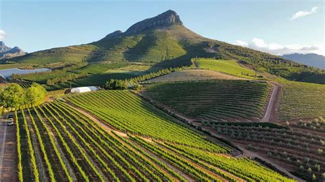 Luxe wijngaarden in de regio Stellenbosch