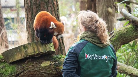 Foto van vrijwilligers die werken met dieren in een Europees natuurgebied