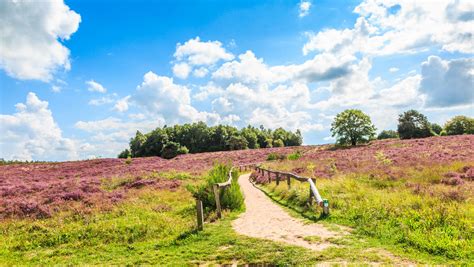 Landschap Drenthe met typische brinkdorpen