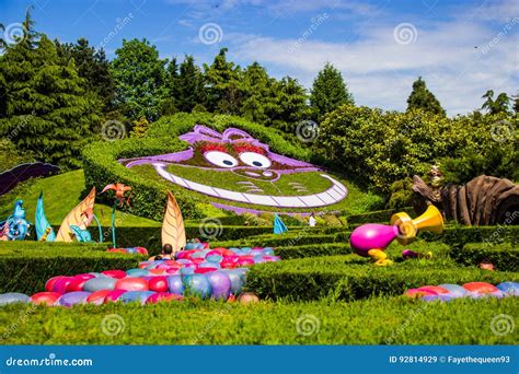 een kat in Disneyland Parijs