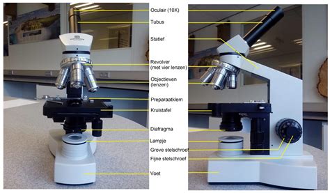 Infographic met uitleg van de verschillende onderdelen van de KLM capaciteitentest: cijferreeksen, figuurreeksen, verbale analogieën, kubussen en venn-diagrammen.