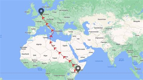 Illustratie van een distelvlinder met pijlen die de migratieroute naar Afrika en Zuid-Amerika aangeven