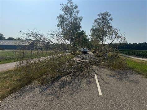 foto van omgewaaide boom op een weg