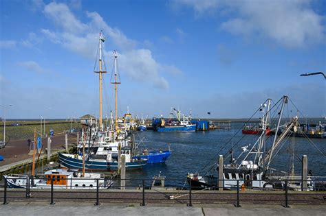 een overzicht van de haven van Den Oever met vissersboten en het restaurant Basalt op de voorgrond