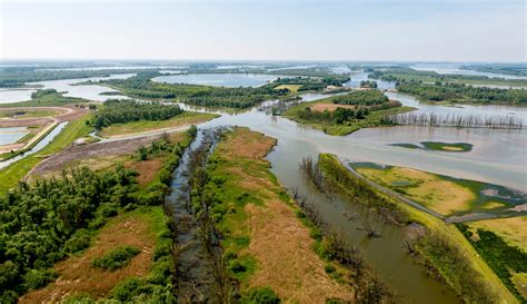 Natuurrijk landschap van Nationaal Park De Biesbosch met waterwegen en bossen