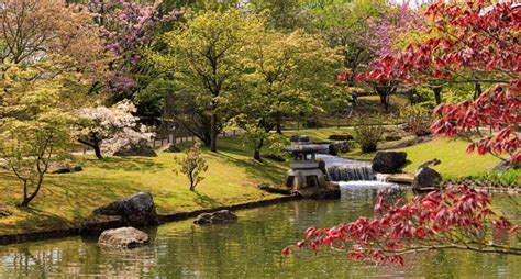 de Japanse Tuin in Hasselt met traditionele architectuur en serene vijvers