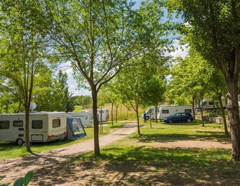 Overzicht van de camping met staanplaatsen en bomen