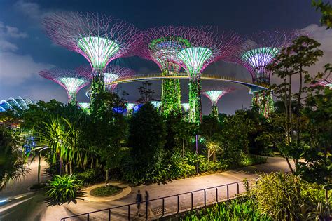 De Supertree Grove in Gardens by the Bay bij nacht, verlicht tijdens een lichtshow