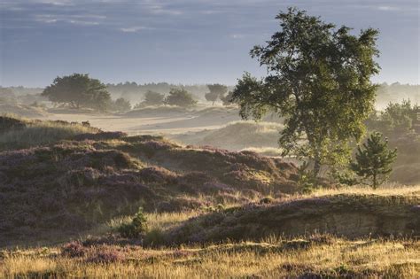 Landschap van het Nationaal Park Drents-Friese Wold met bossen en heide