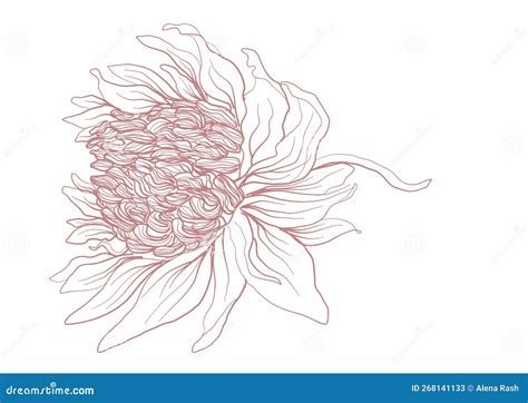 Ontwerp van de kinderachtbaan Krummel (illustratie)