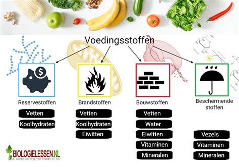 Illustratie van diverse voedingsmiddelen zoals pindakaas, brood, thee en specerijen, passend in een koffer.