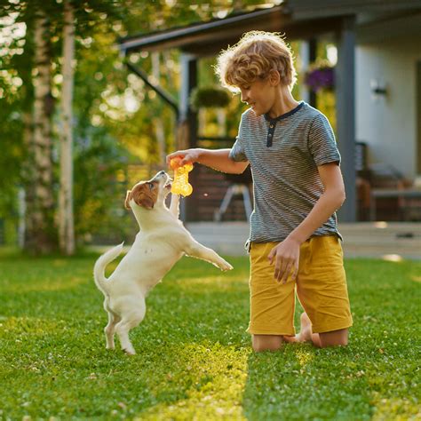 Kinderen die spelen met een hond in een afgesloten tuin
